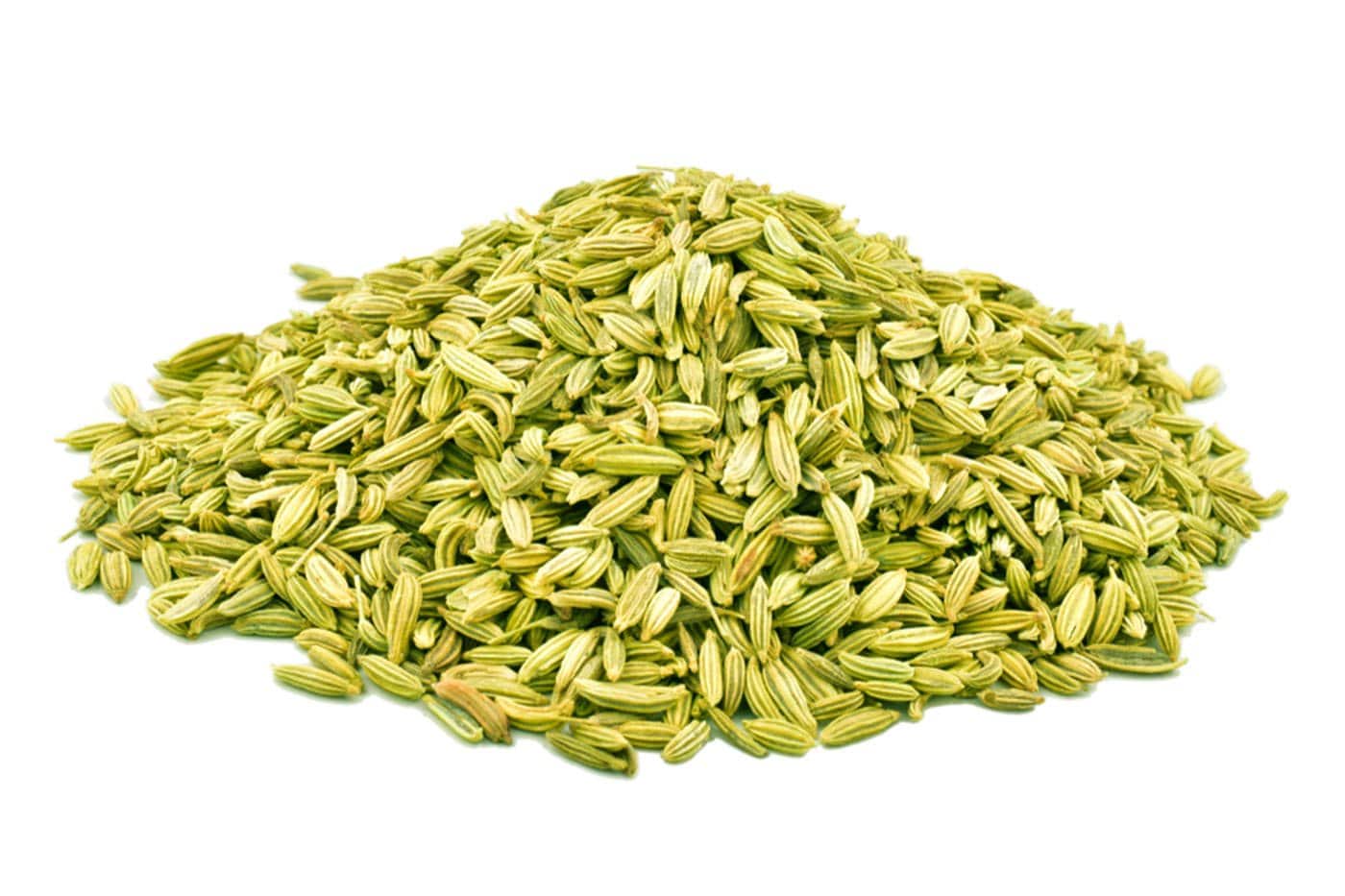 Fenouil
