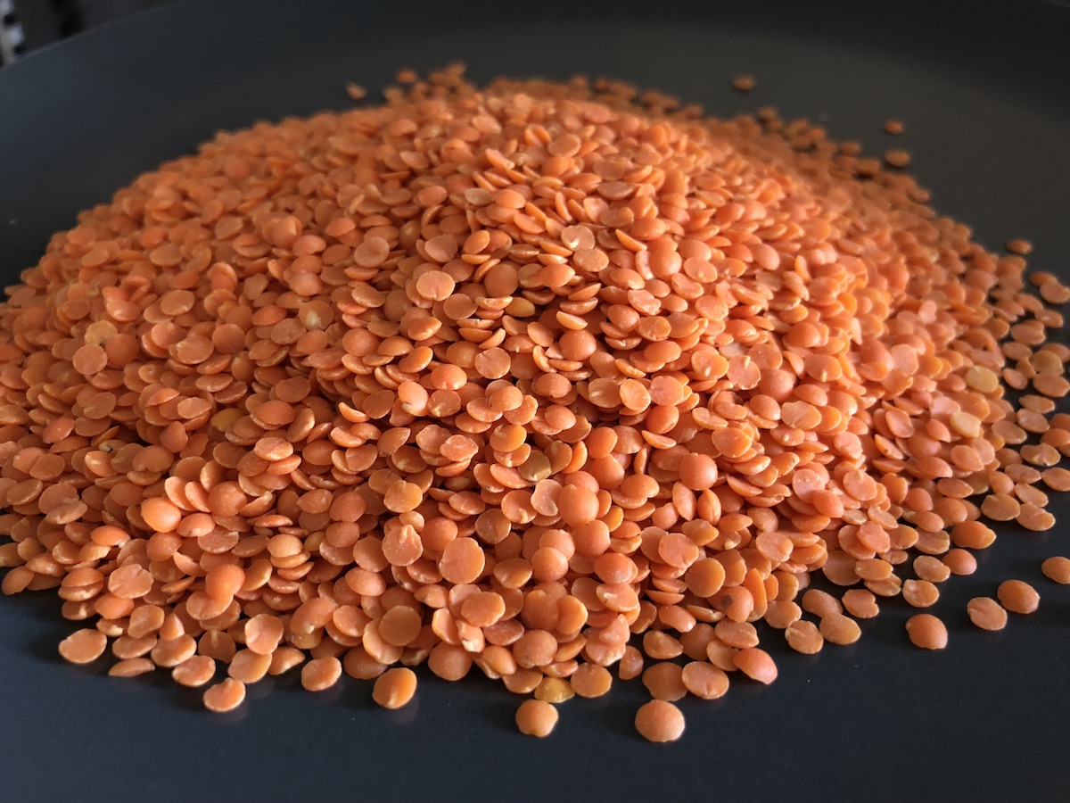 Graines de lentilless